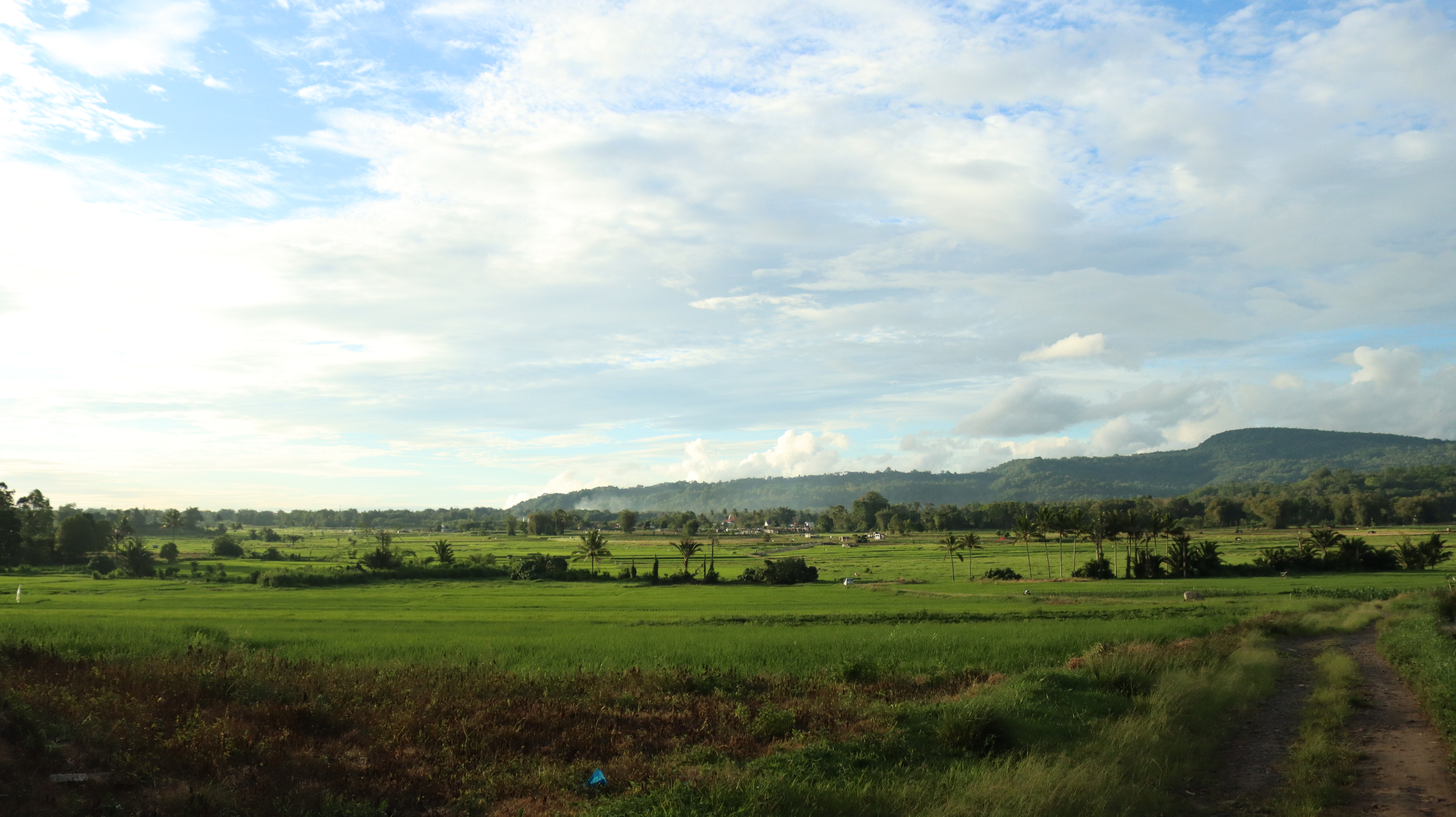 Pemandangan Alam 2