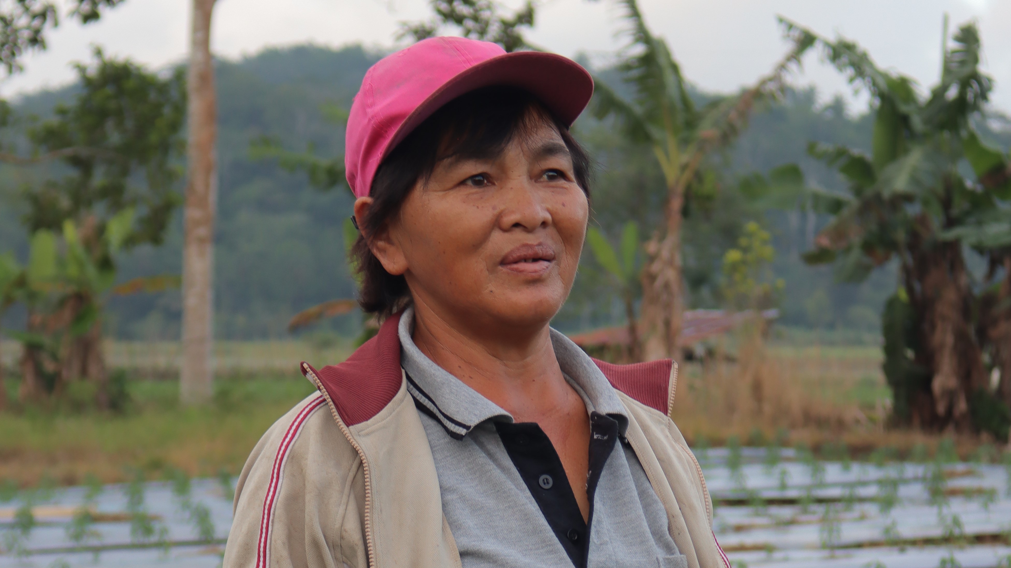 Petani Cabai